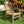 Load image into Gallery viewer, New 11pc Grade-A Teak Outdoor Dining Set-one Double Extension Oval Table 118x40 &amp; 10 Verona Stacking Arm Chairs + cushions
