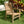Load image into Gallery viewer, New 9pc Grade-A Teak Outdoor Dining Set-one Double Extension Oval Table 95x40 &amp; 8 Verona Stacking Arm Chairs + cushions
